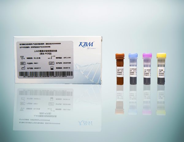 人ACE基因分型检测试剂盒（荧光-PCR法）