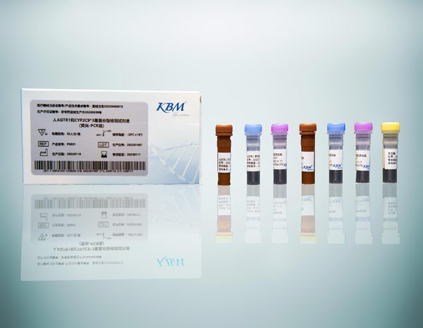 人AGTR1和CYP2C9*3基因分型检测试剂盒（荧光-PCR法）
