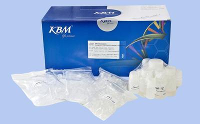 Koning 快速血基因组DNA小量制备试剂盒