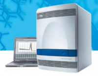 PCR扩增检测服务