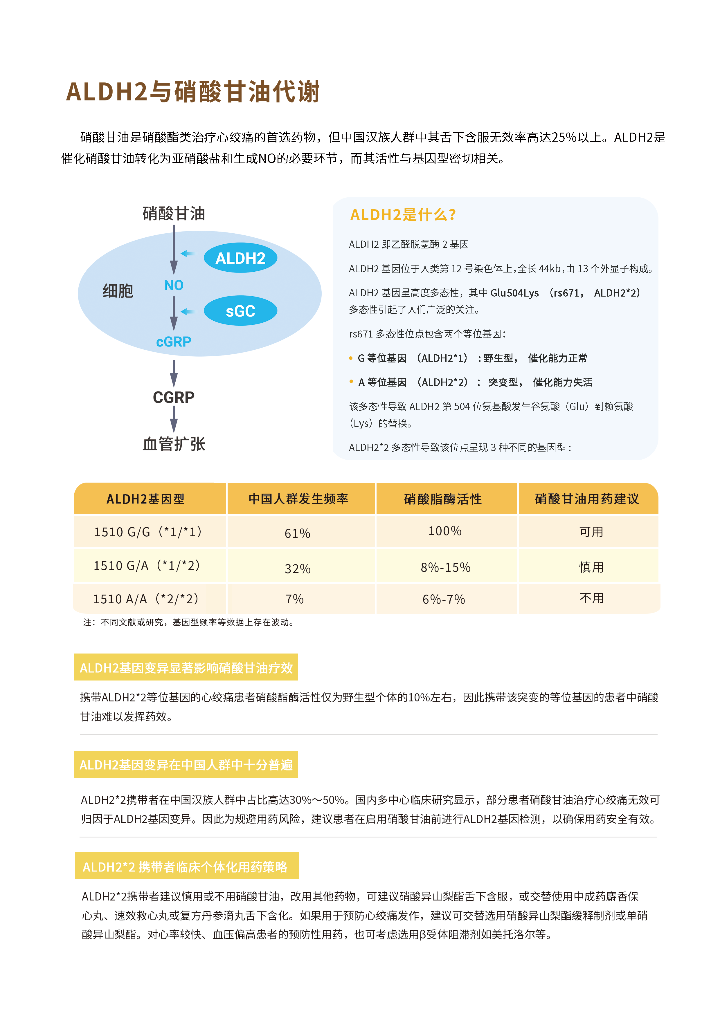 ALDH2彩页-4.png