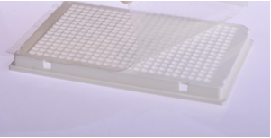 384孔PCR板